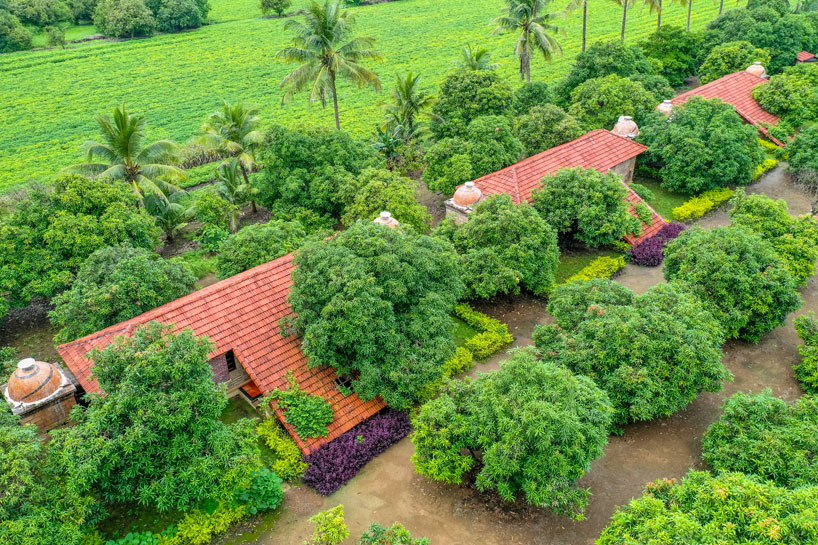 Bird eye view of cottages among existing mango trees