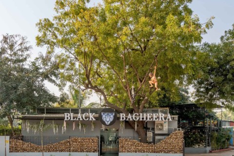 BLACK BAGHEERA by 9Degree Design Studio