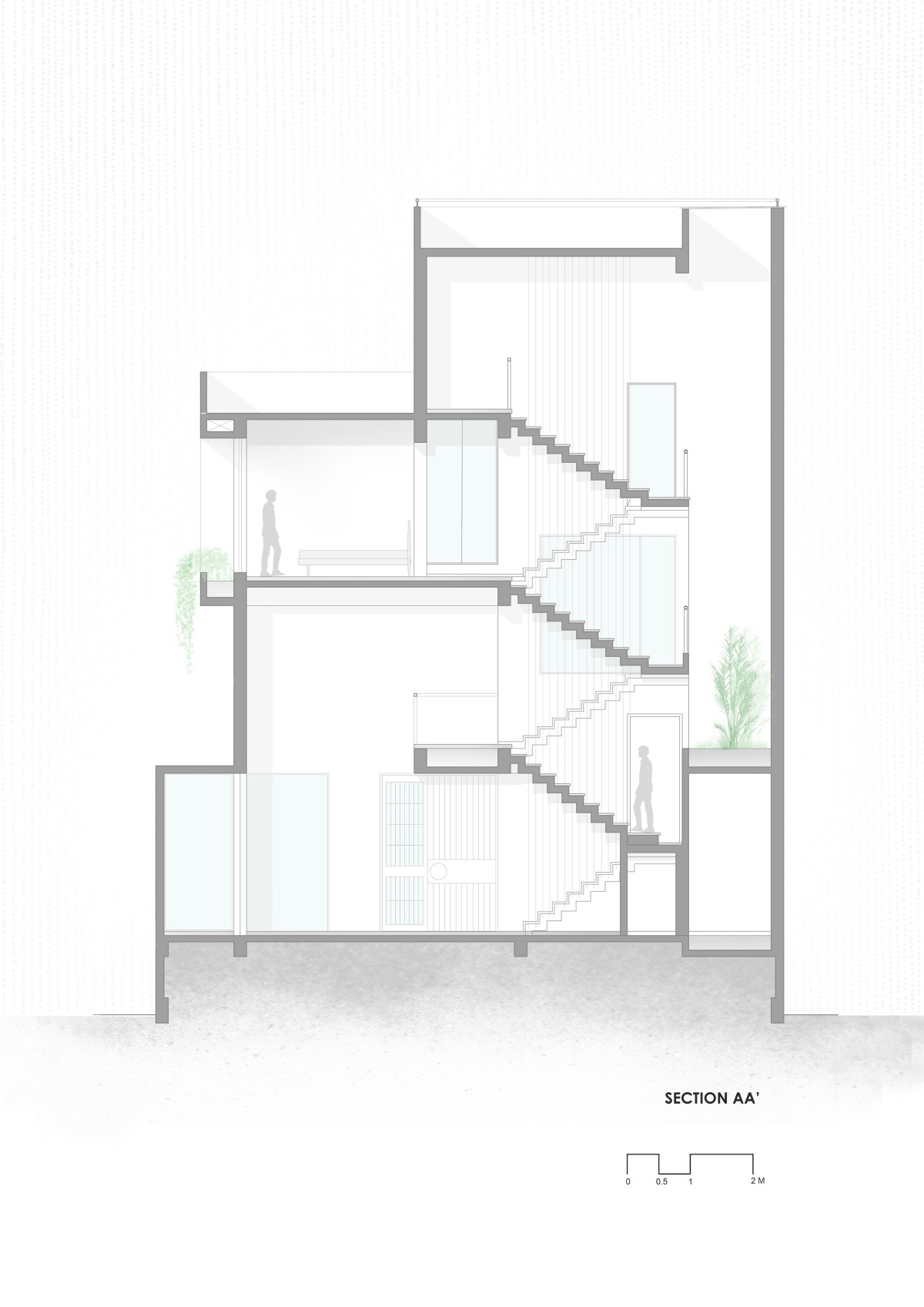 Section AA of The White Bleached House by Neogenesis+Studi0261