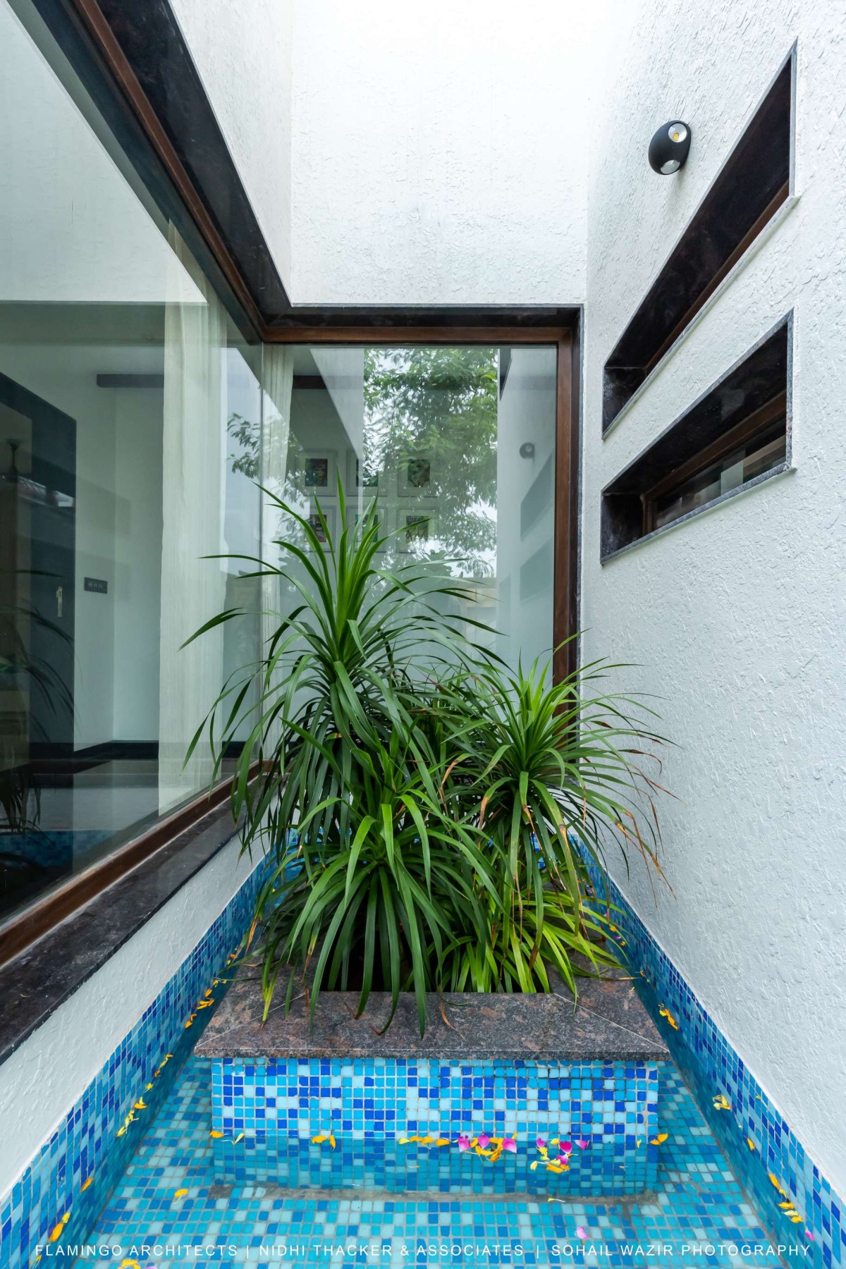 Water Body of Pujara House by Flamingo Architects + Nidhi Thacker and Associates