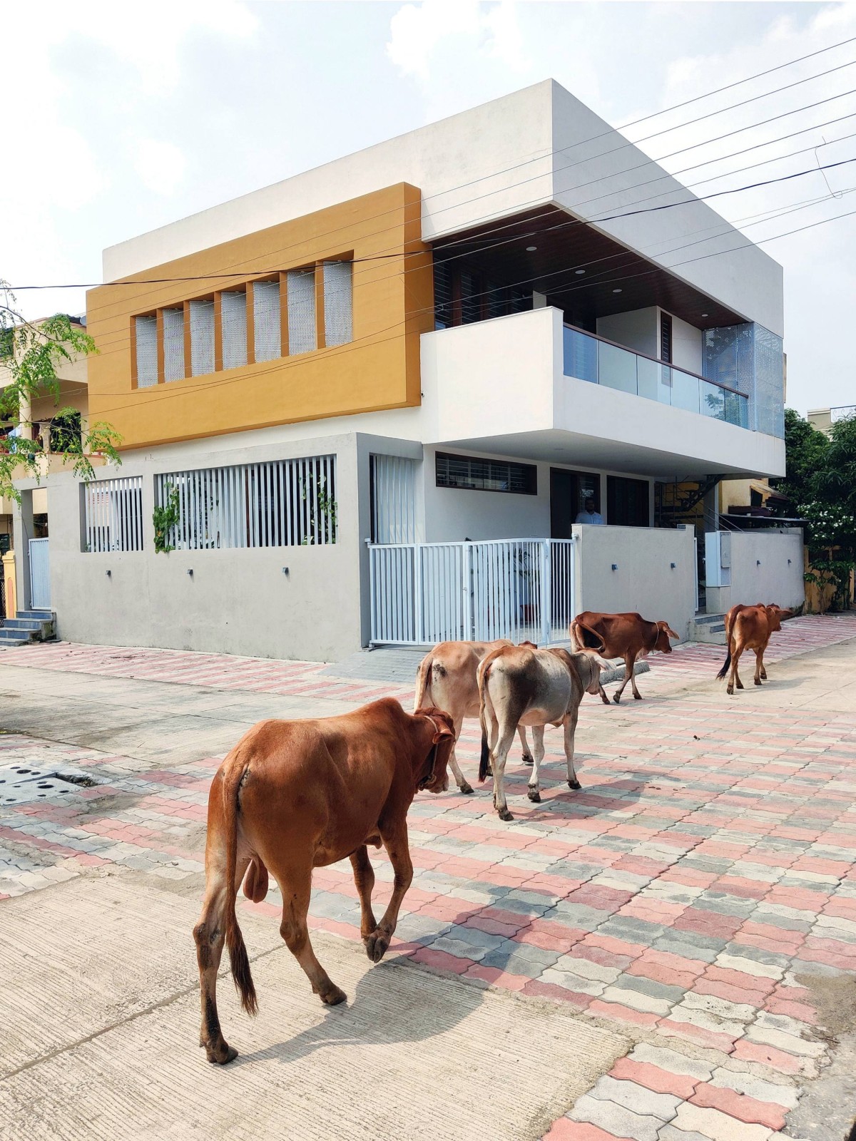 Exterior view of Crossroad House by Studio Habitect