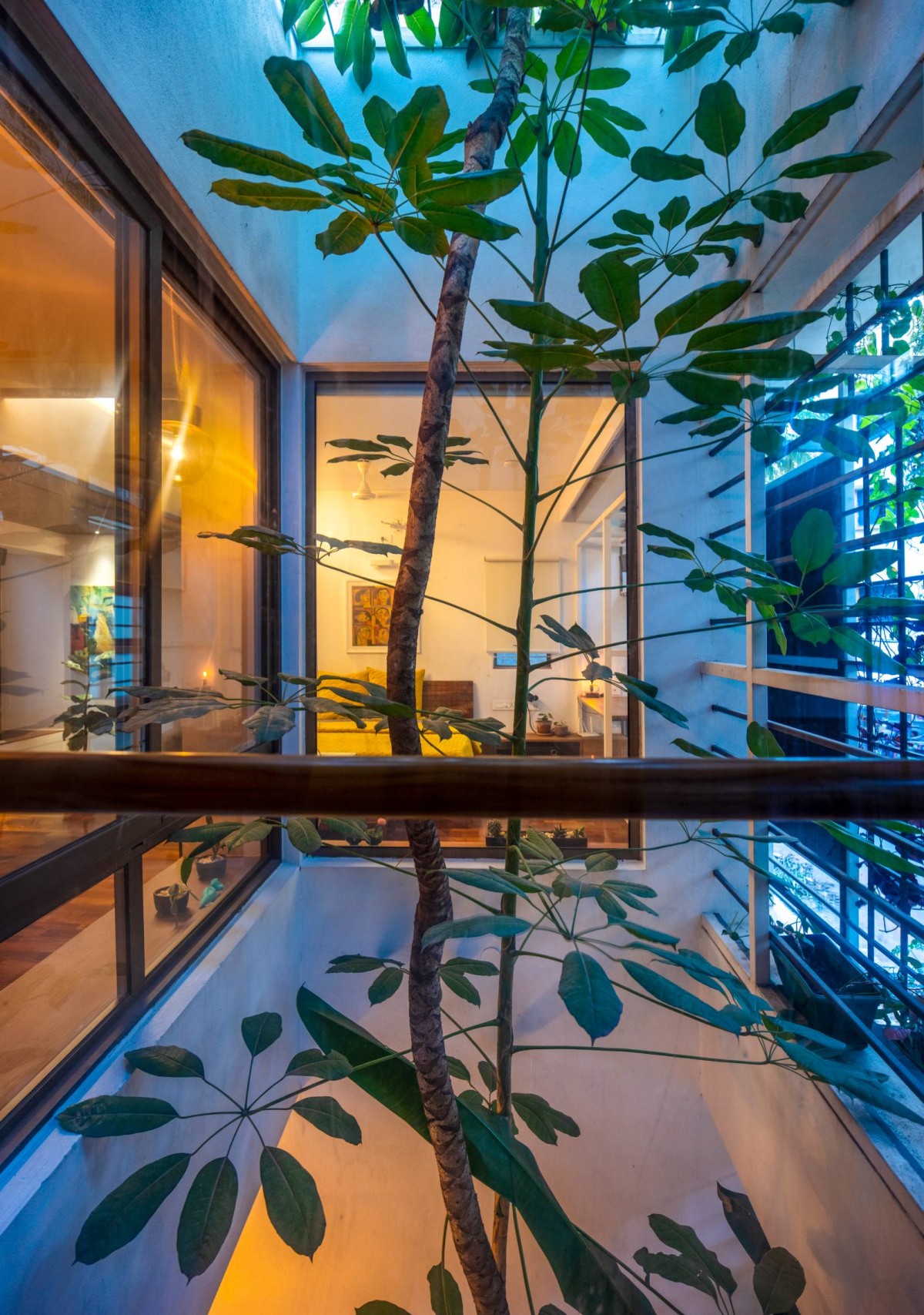 The Tree growing though the Master Bedroom cut out at dusk of Aadyam by Gaurav Roy Choudhury Architects
