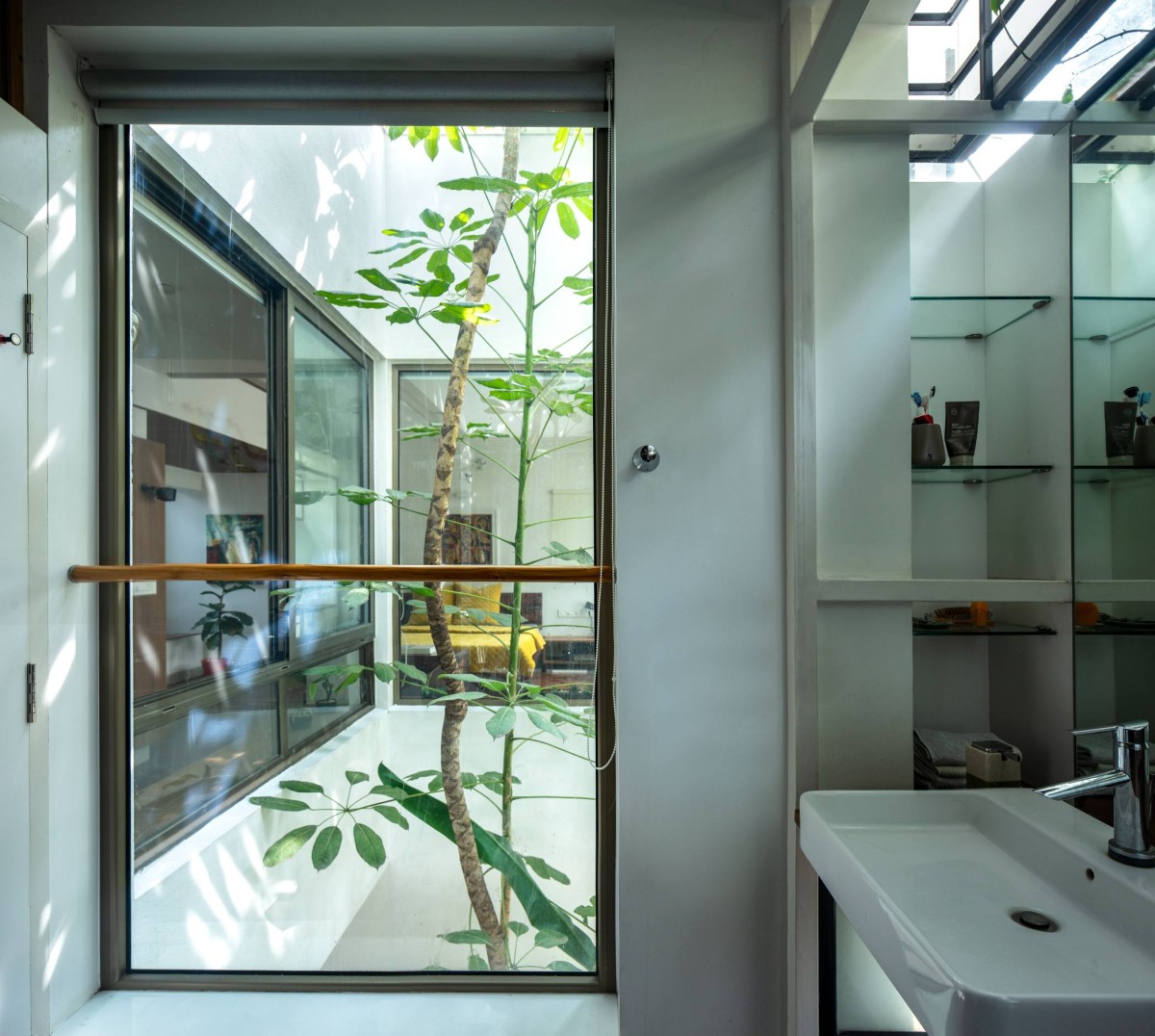 The Tree Cut Out from the Master Bathroom of Aadyam by Gaurav Roy Choudhury Architects