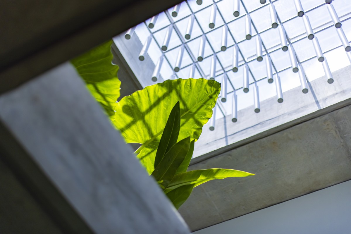 Skylight of Hedge by Mindspark Architects