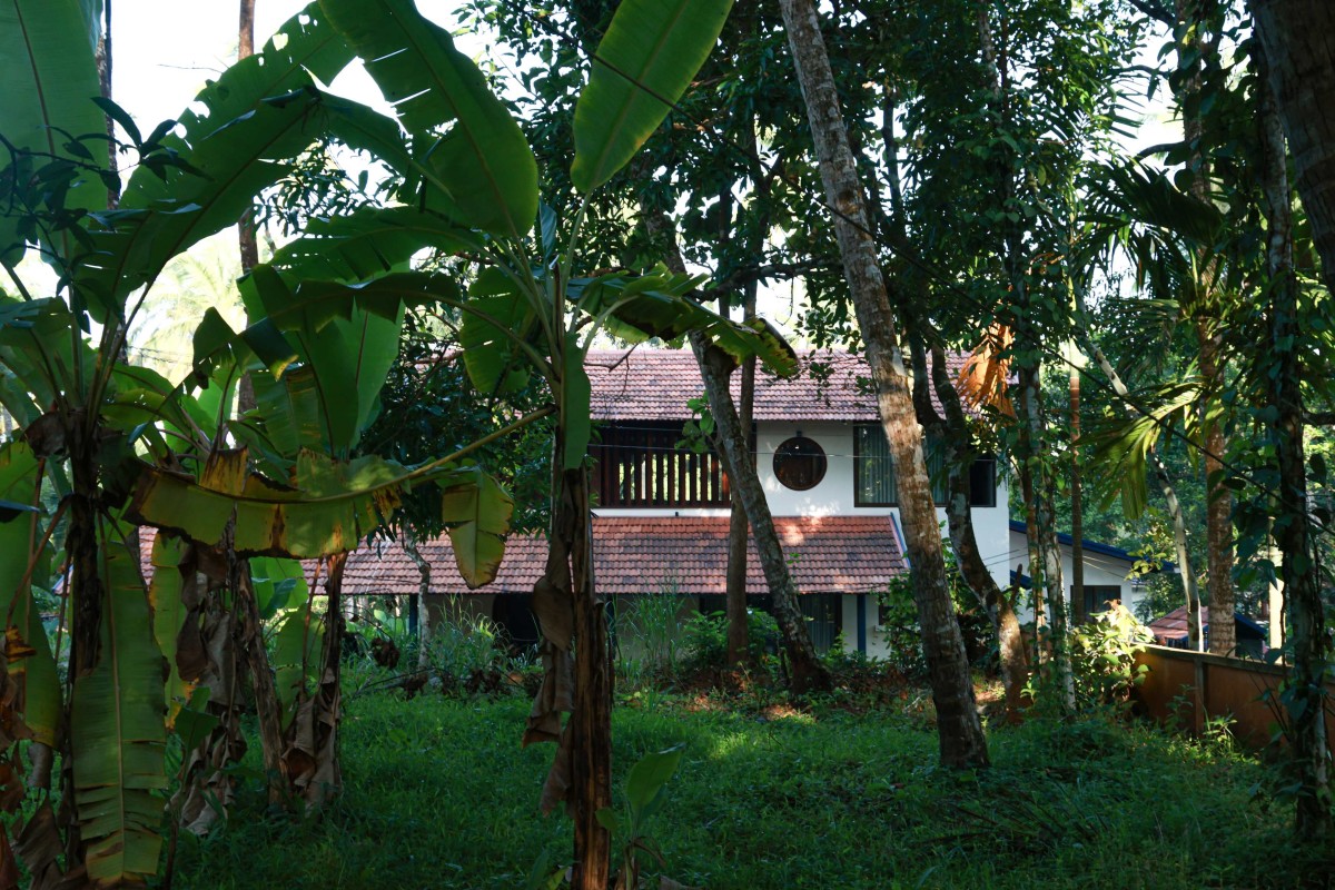 Lawn of Wabi Sabi House by Aslam Sham Architects