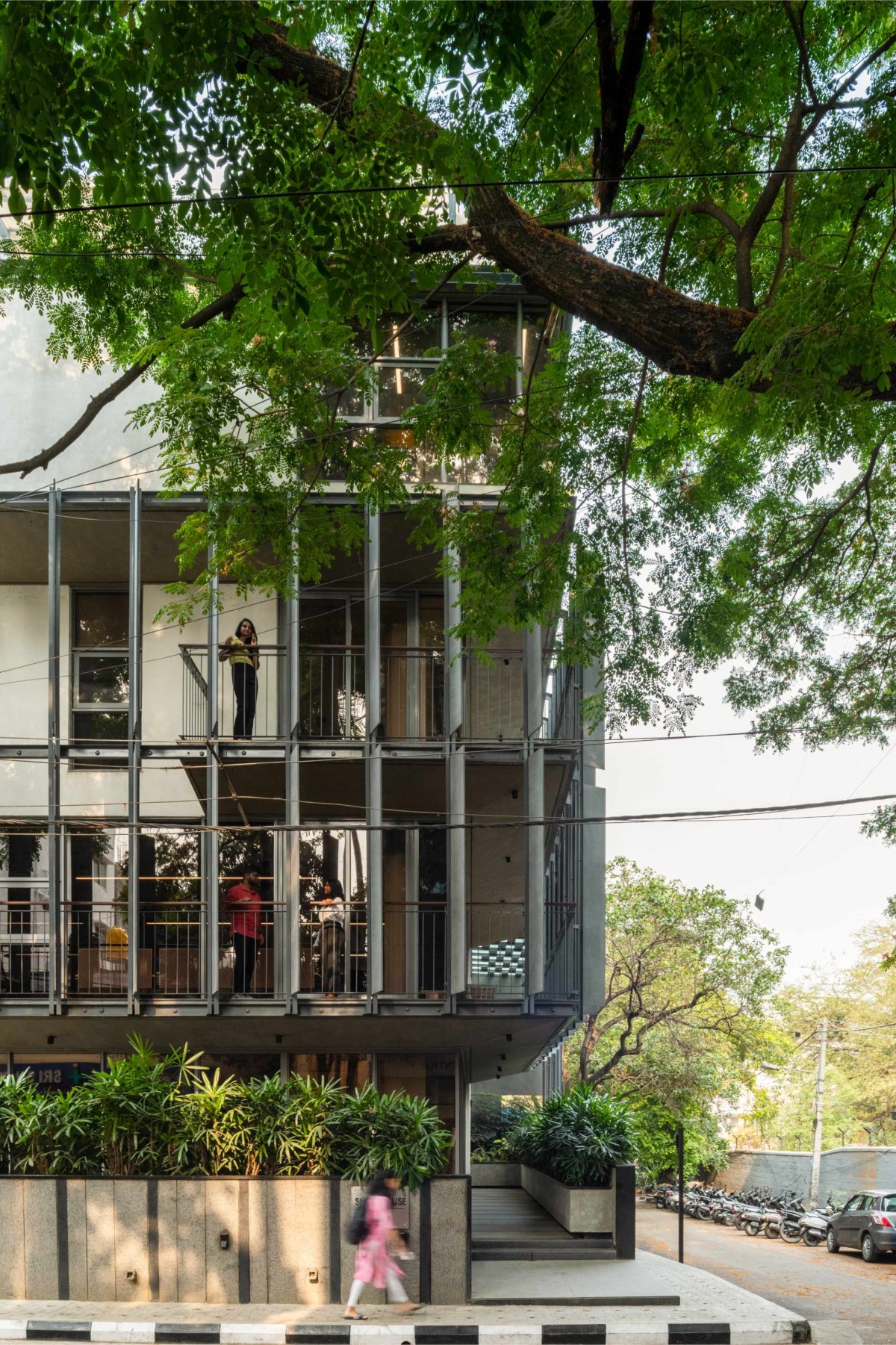 Northeast corner entrance embraced by majestic rain trees of Slate house by Funktion design