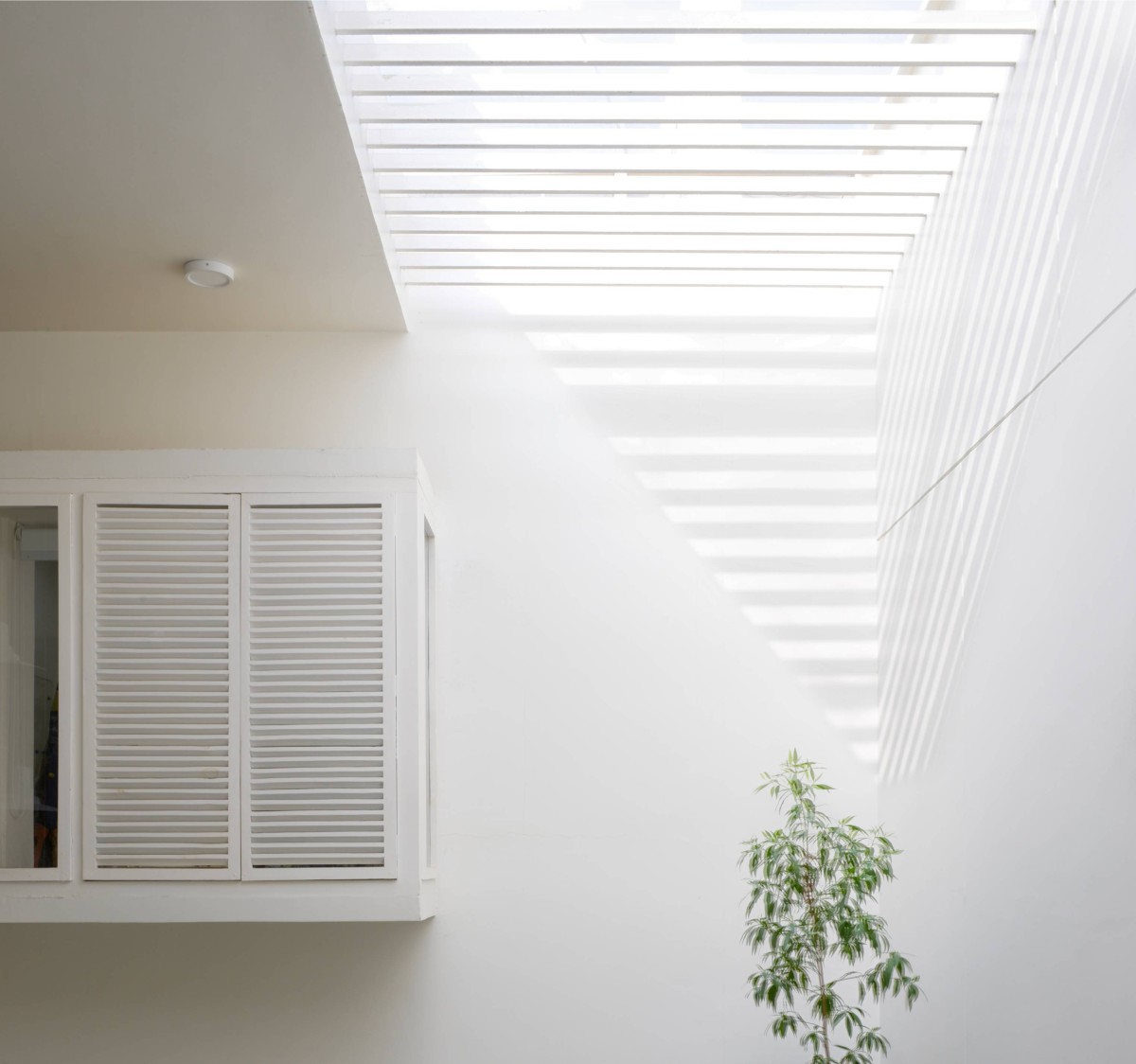 Skylight of Inward House by Spacefiction Studio