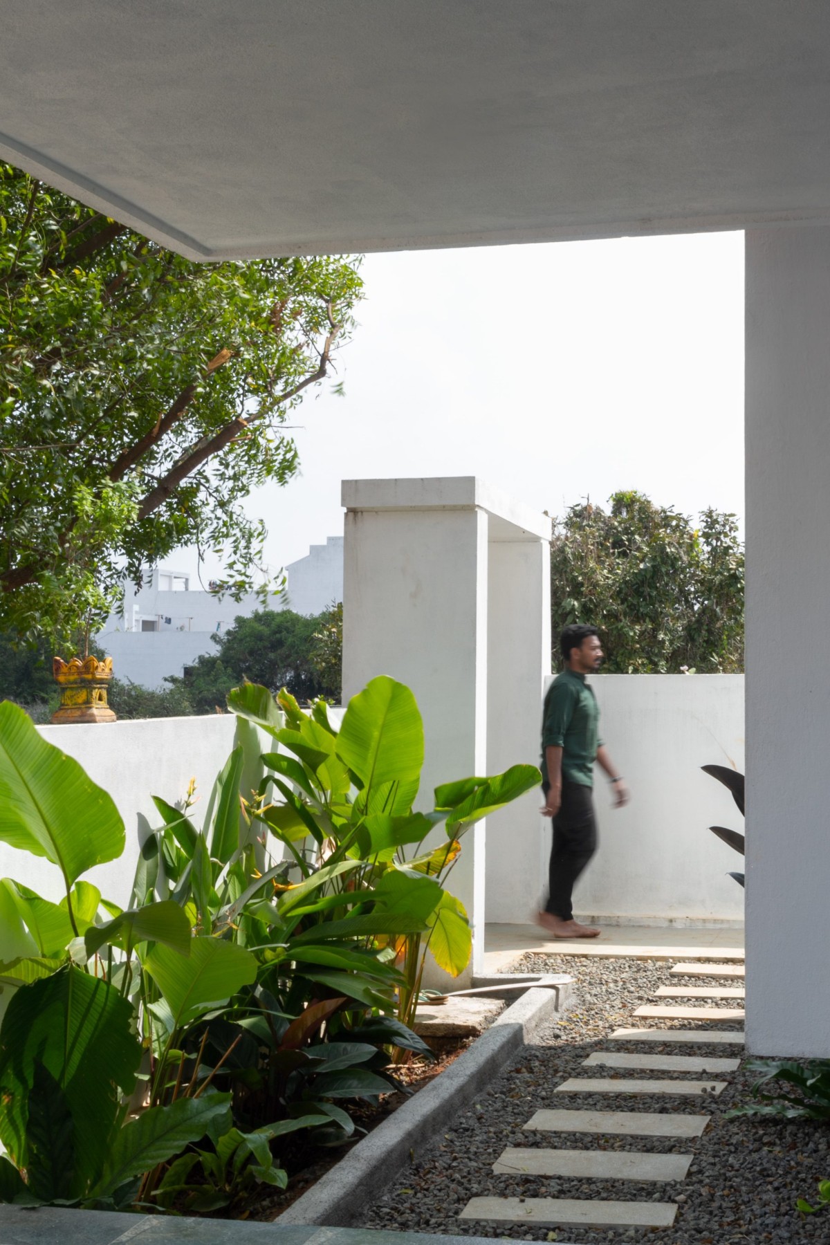 Landscaped walkway leading to the entrance verandah