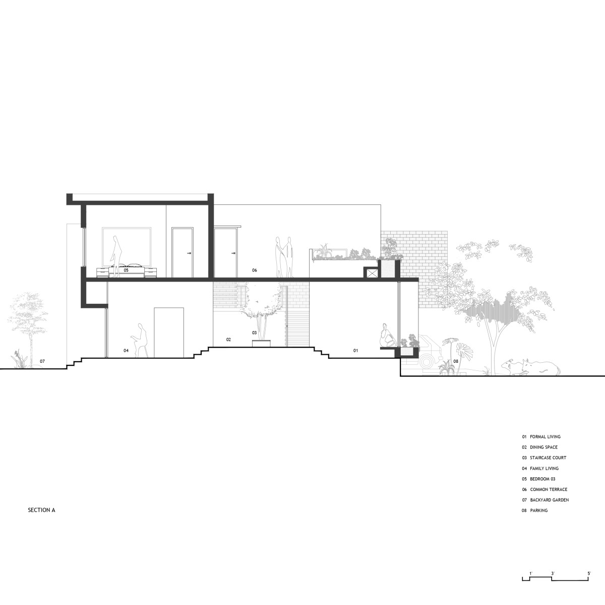 Section A showing ground floor levels and its interaction with the existing northside neem tree