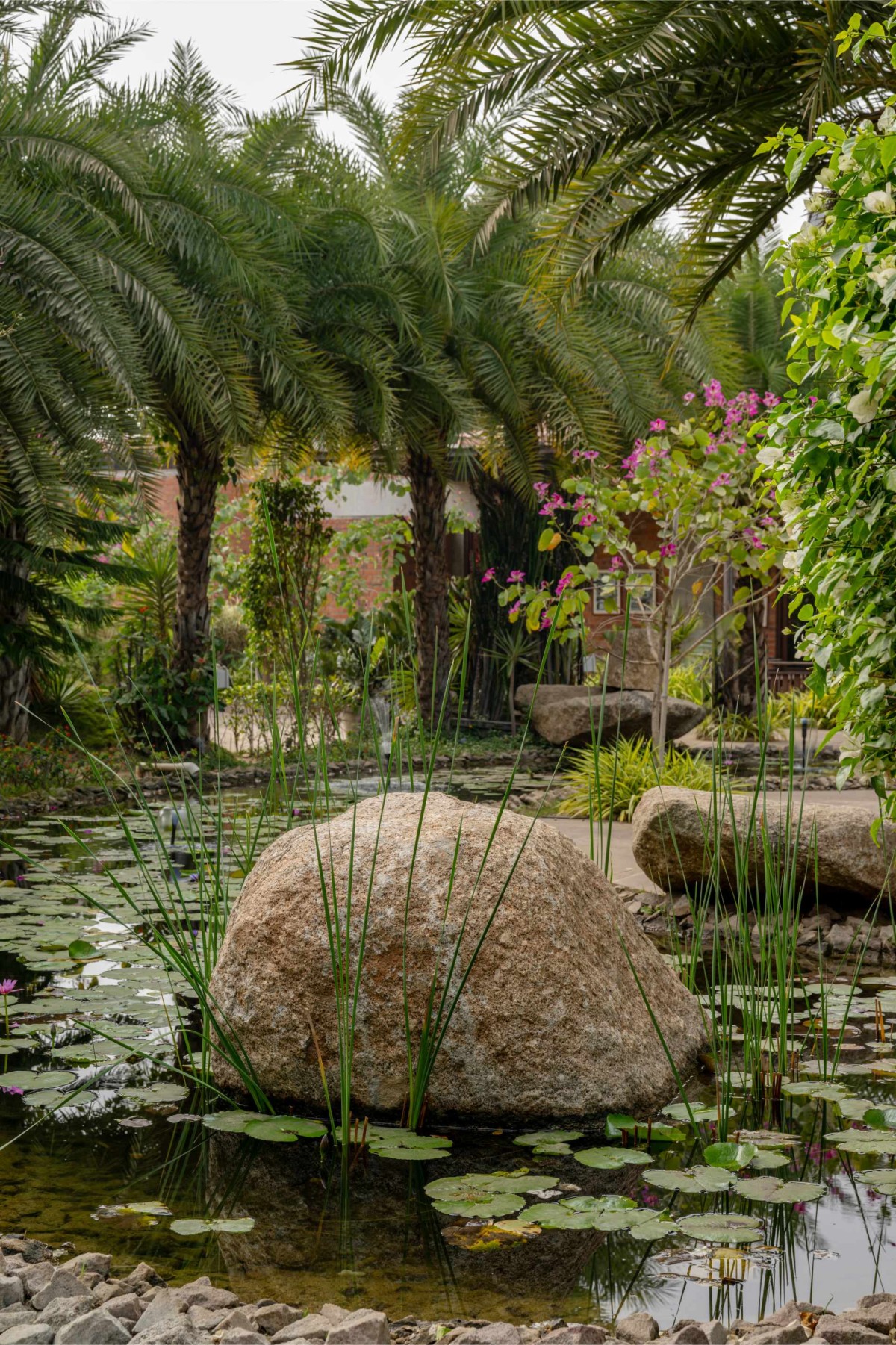 Waterbody of Under The Neem Tree by Studio HPA