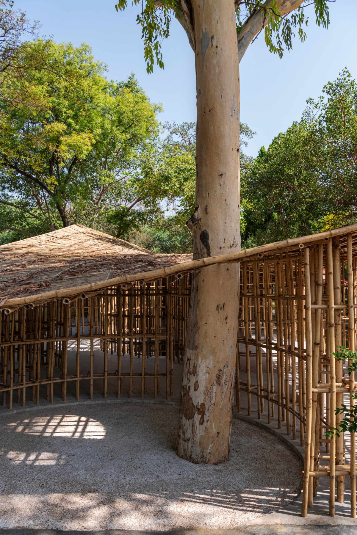 Tree Court of North-East Bamboo Pavilion by  atArchitecture