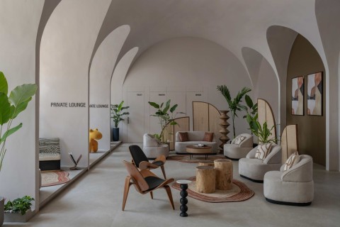 Vaultz's Up by Daisaria Associates