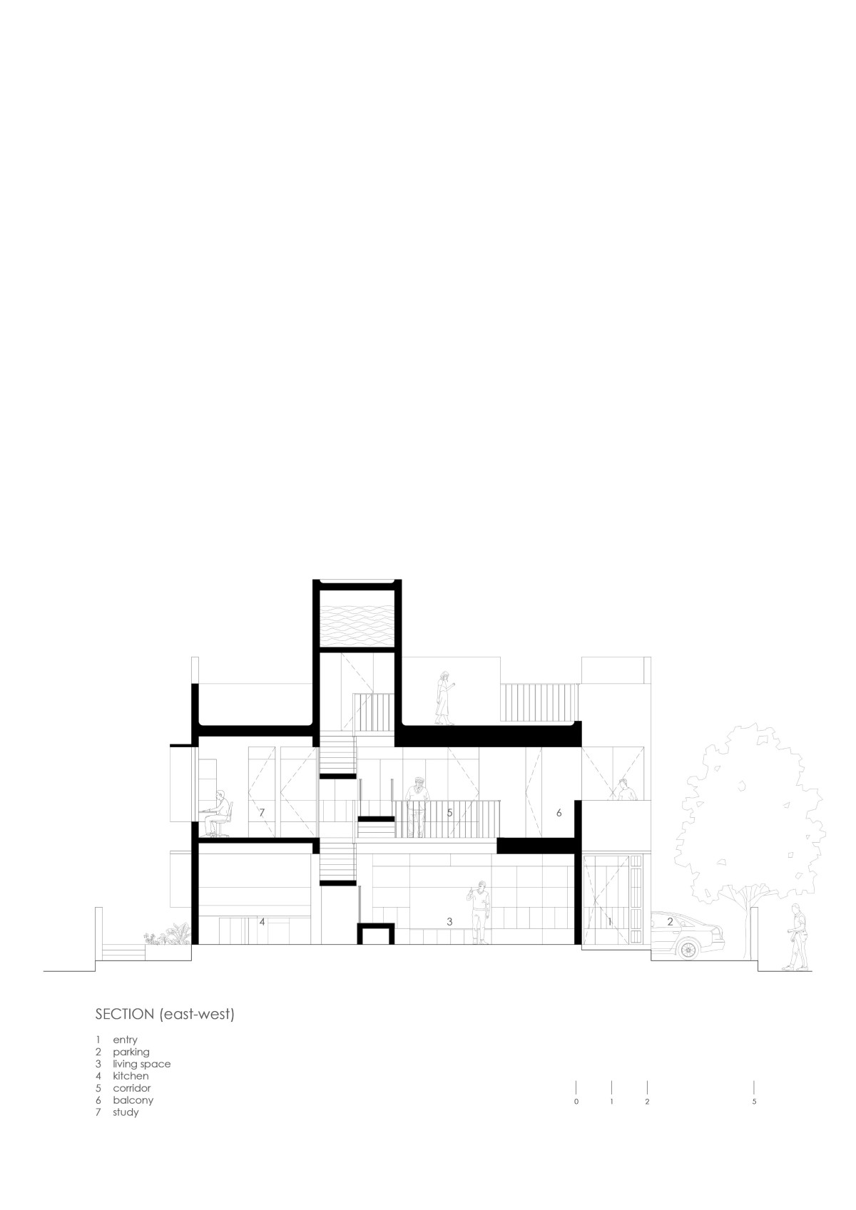 Section (east-west) of The Enfold by Studio Biosis