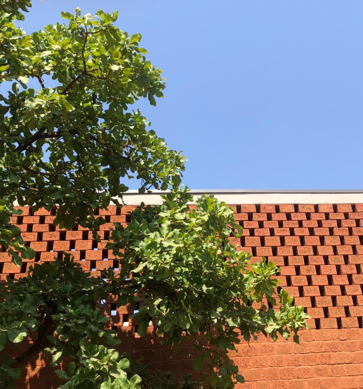 Detailed shot of Laterite stone screen of House of Multiple Courts by Sameep Padora & Associates
