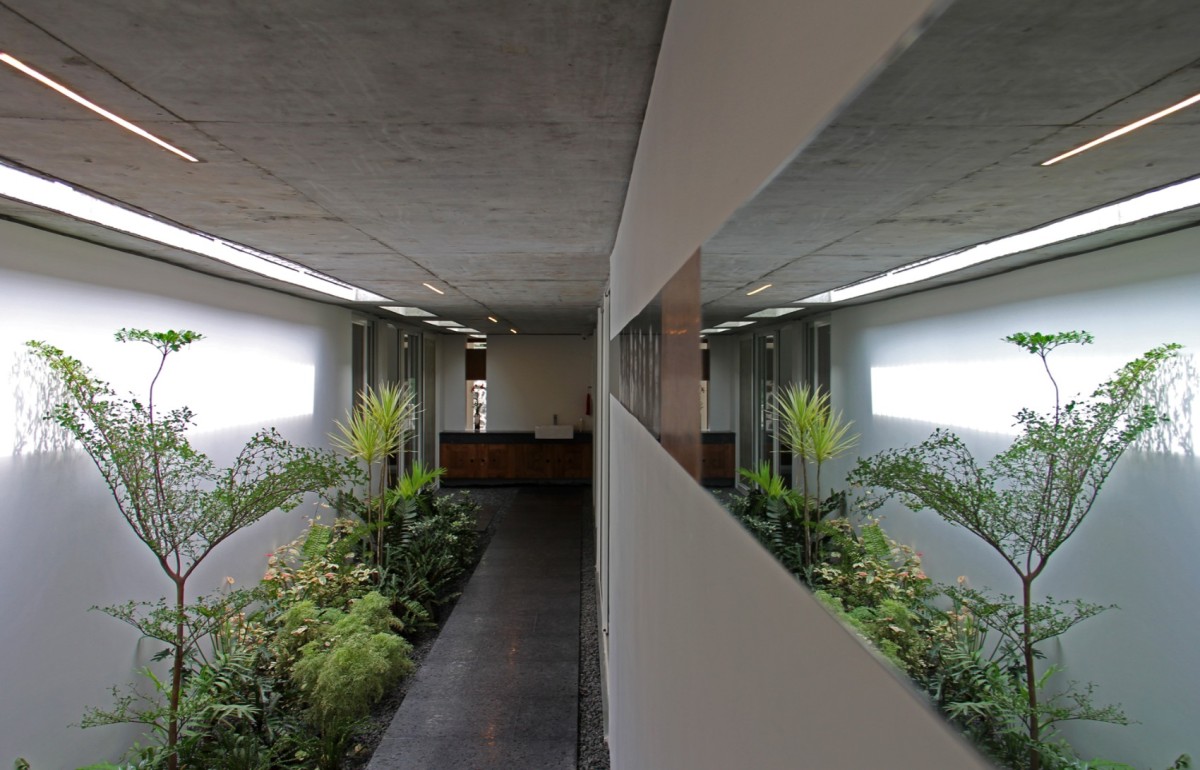 Central Court of The Walls and Vaults House by LIJO.RENY.architects