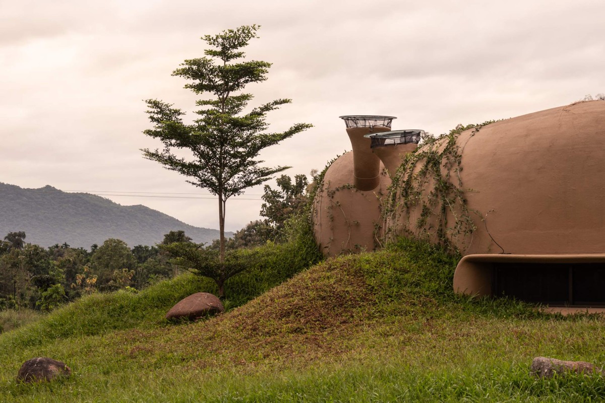 Exterior view of Into The Wild by Earthscape Studio