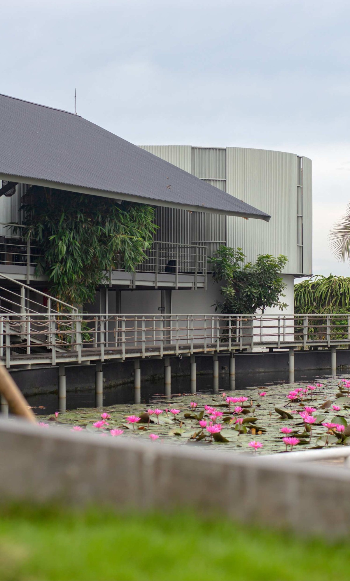 Lotus Pond of PADI Rest Area by MIV Architects