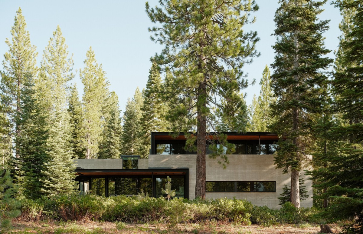 Forest House by Faulkner  Architects